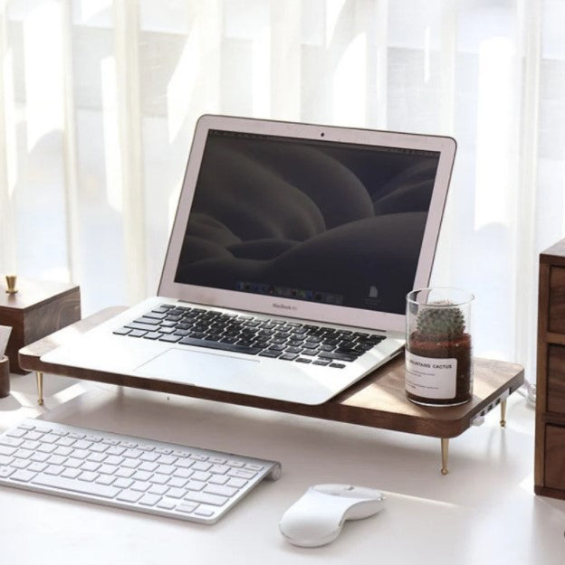 Altuss Monitor Stand, met USB poorten.